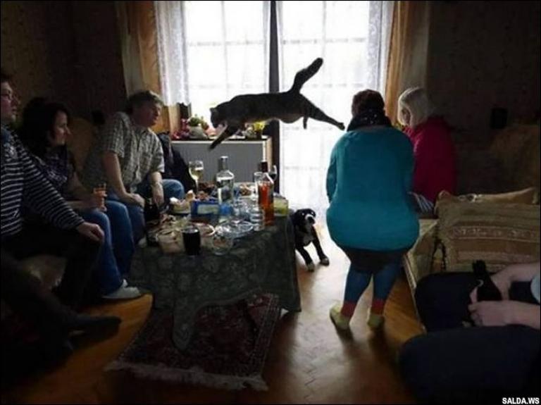 Открыть в полный размер