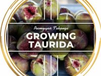 Фото пользователя growing-taurida