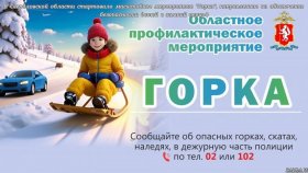 В Свердловской области стартовало масштабное мероприятие &quot;Горка&quot;, направленное на обеспечение безопасности детей в зимний период