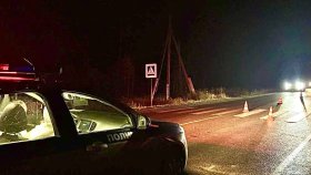 Нарушение правил перехода дороги привело к гибели пешехода в Режевском районе: автоинспекторы проводят проверку