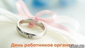 18 декабря – День работников органов ЗАГСа