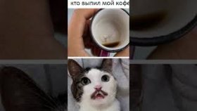 Смешные и милые мемы на 2 марта