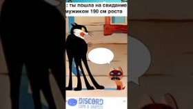 Мемы про котиков на 6 декабря 2022