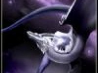 Фото пользователя Антон Берков