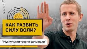 Как развить силу воли? Лучшие стратегии для развития силы воли и работы над собой.