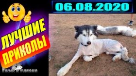 ПОДБОРКА Лучших Приколов / COUB BEST 2020 / Приколы из ИНСТАГРАМА 2020 /КУБ/ CUBE / КОУБ АВГУСТ 2020