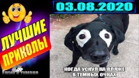 ПОДБОРКА Лучших Приколов / COUB BEST 2020 / Приколы из ИНСТАГРАМА 2020 /КУБ/ CUBE / КОУБ АВГУСТ 2020