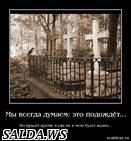 Страсти по старому кладбищу