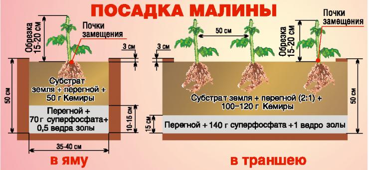Открыть в полный размер
