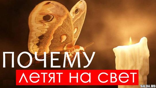 Открыть в полный размер