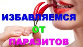 15 растений, которые убьют всех паразитов внутри вас
