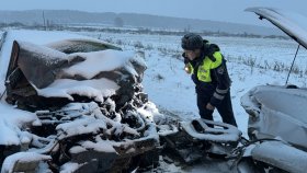 Госавтоинспекция устанавливает обстоятельства дорожно-транспортного происшествия со смертельным исходом