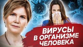 Вирусы в организме человека. Как бороться с вирусами в организме человека и избежать заболеваний?
