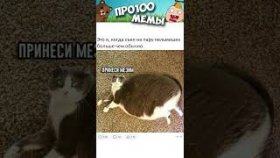 Короткие приколы  и мемы с озвучкой на 2 марта