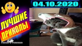 Подборка Приколов 2020 BEST CUBE 2020 Лучшие Видео из Инстаграм BEST COUB 2020 Приколы СЕНТЯБРЬ 2020