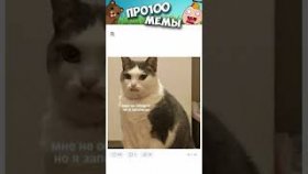 Короткие приколы и мемы с котами на 27 декабря