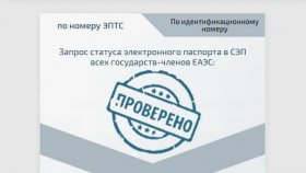Проверка машины по электронному ПТС