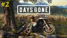 Days Gone Прохождение - Стрим под пивко #2
