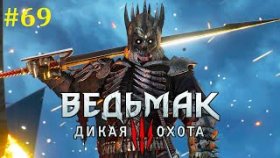 The Witcher 3: Wild Hunt Прохождение - Финал #69