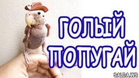 Смешные животные новый видео-приколы