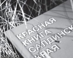 Красная книга Салдинского края