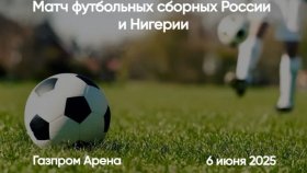 Футболисты России и Нигерии выйдут на поле «Газпром Арены»