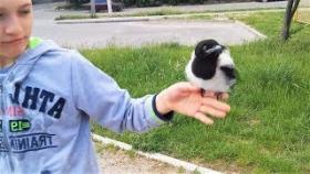 Попробуй не улыбнуться Смешные и милые птицы
