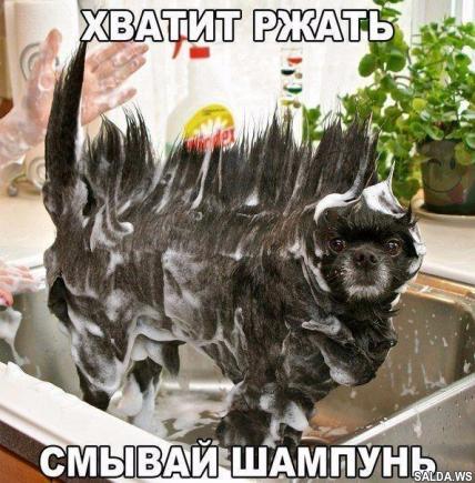 Открыть в полный размер