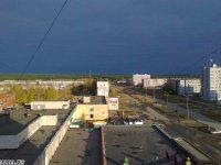 Глазами птиц