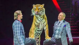 Большой Московский цирк приглашает на уникальные шоу и экскурсии