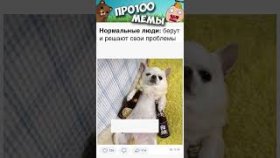Очень короткие мемы с озвучкокй на 28 февраля 2023