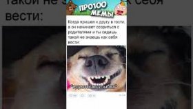 Короткие приколы и мемы с собаками в озвучке на 26 декабря
