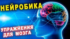 Преобразите свой разум с помощью новой удивительной тренировки — нейробики!