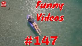 Подборка лучших видео приколов YOUTUBE #147