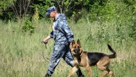 В Коми задействовали кинологическую службу для поиска постояльца дома престарелых