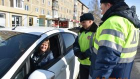 «Цветы для автоледи»