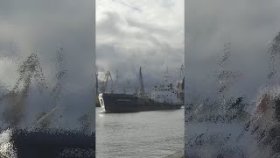 Жадный до вайба