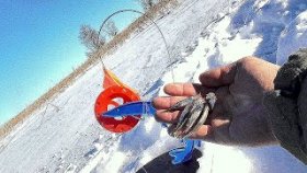Щука на Пучок Живца! Подводная съемка