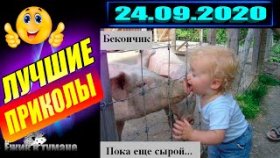 Подборка Приколов 2020 BEST CUBE 2020 Лучшие Видео из Инстаграм BEST COUB 2020 Приколы СЕНТЯБРЬ 2020