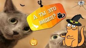 А ТЫ ЭТО ВИДЕЛ? Подборка чётких приколов #9