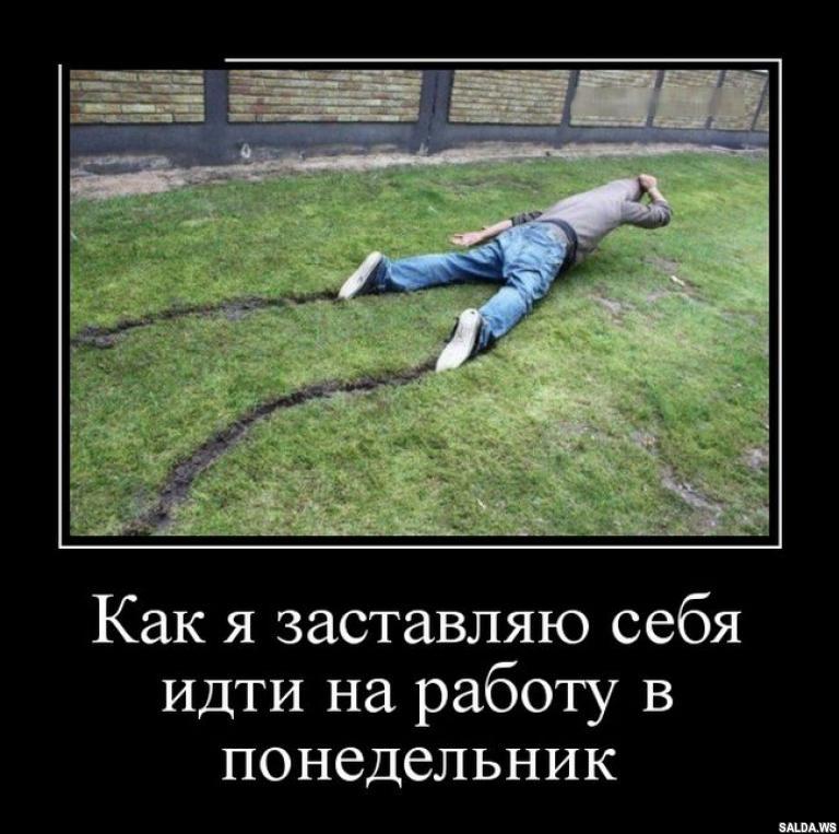 Открыть в полный размер