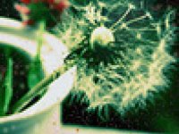 Фото пользователя Елена Гущенко