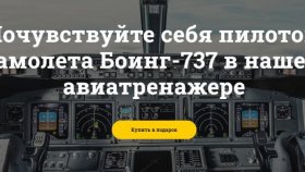 Виртуальный полет на самолете
