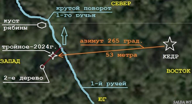 Открыть в полный размер