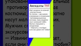 Анекдот про экскурсию