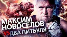 Бой Максима Новоселова против Двух питбулей. Обращение Артема Тарасова к Эдварду Билу.