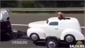 Лучшие приколы 2017 январь