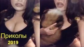 ПРИКОЛЫ 
