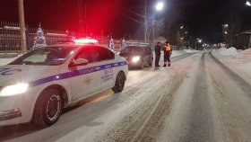 В Серове автоинспекторы пресекли грубое нарушение ПДД при поездке водителя в ледовый городок