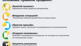 Техника продажи франшизы
